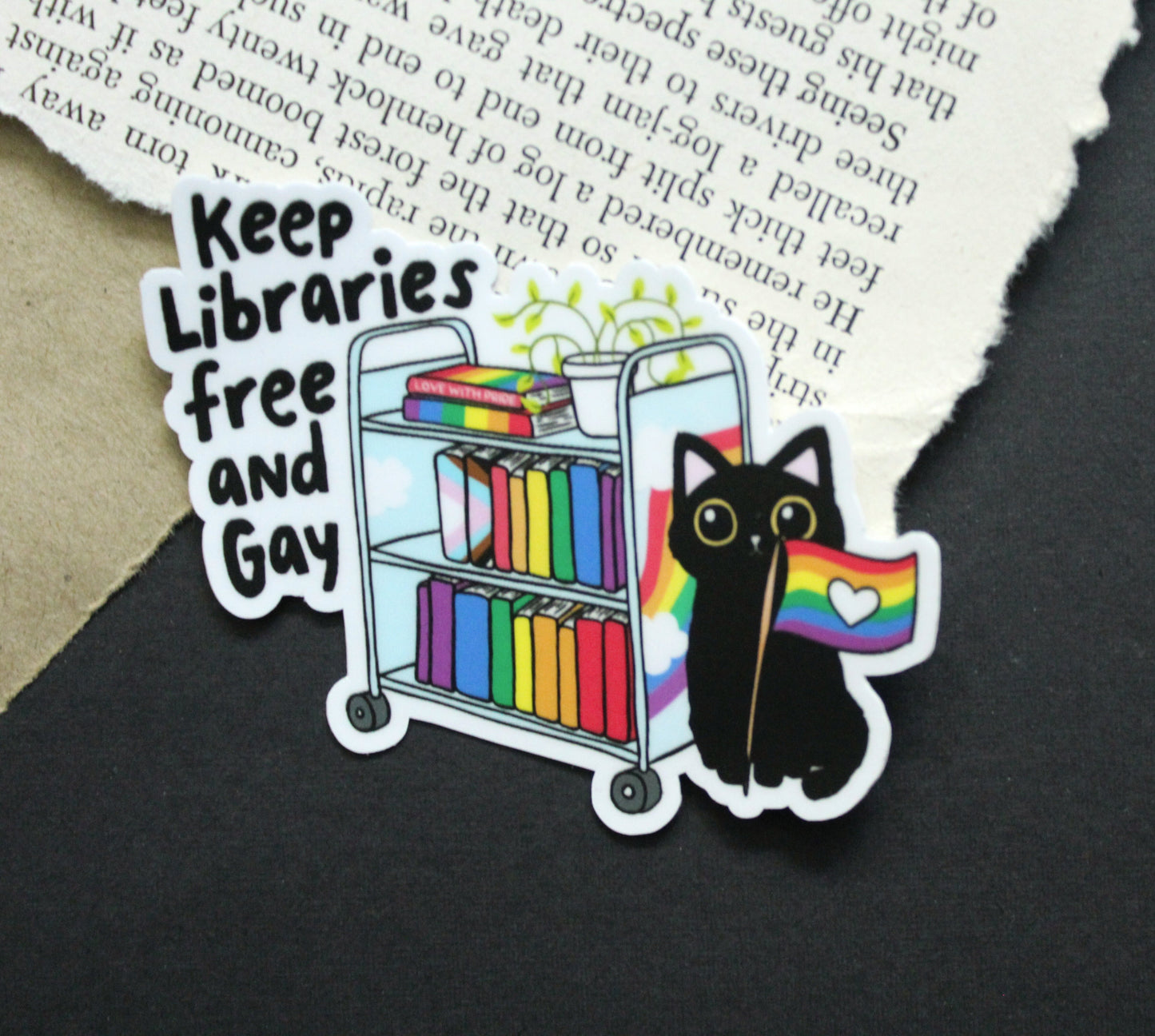 Keep Libraries Free and Gay Sticker