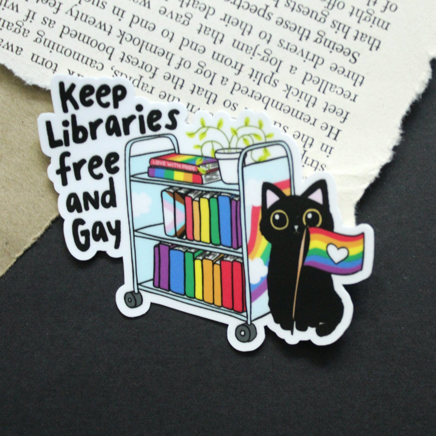Keep Libraries Free and Gay Sticker