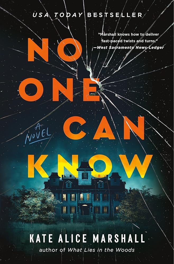 No One Can Know: A Novel cover image