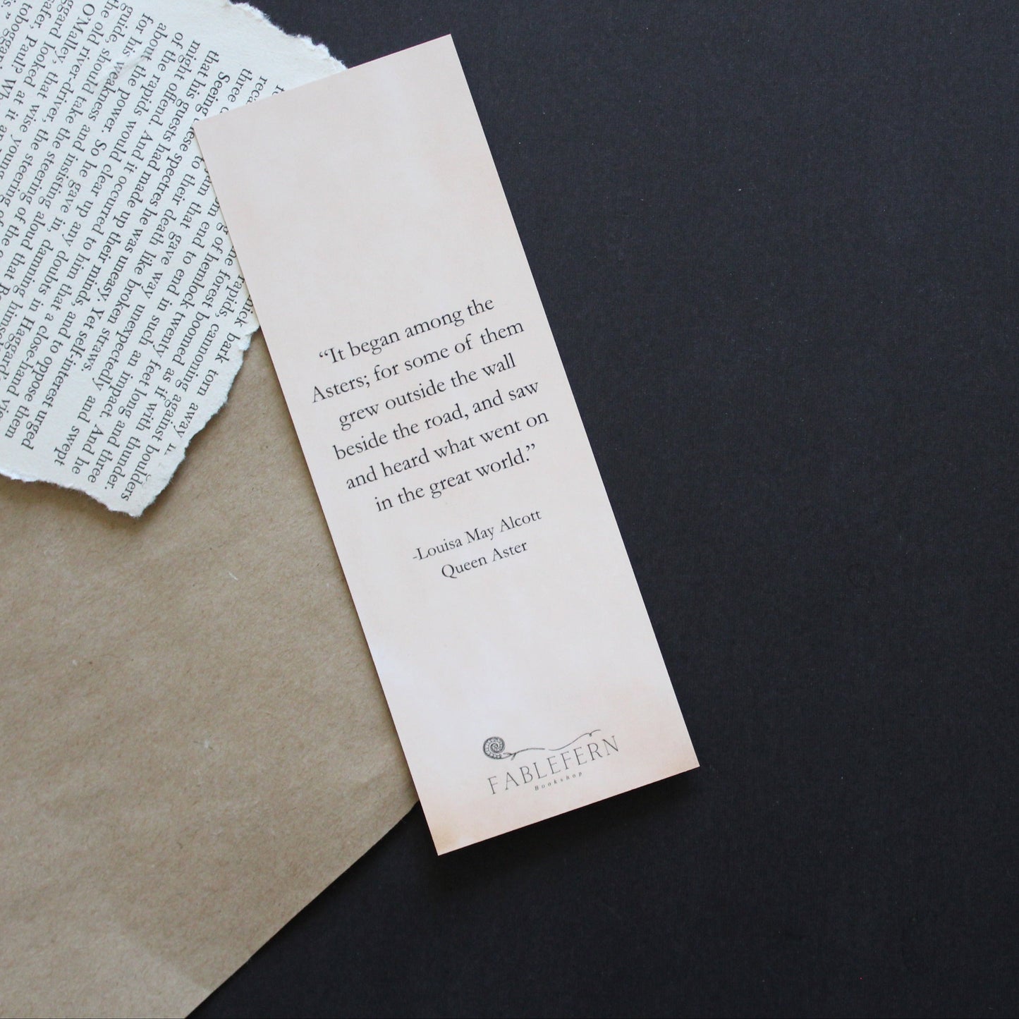 Flora of New Brunswick - Aster Bookmark