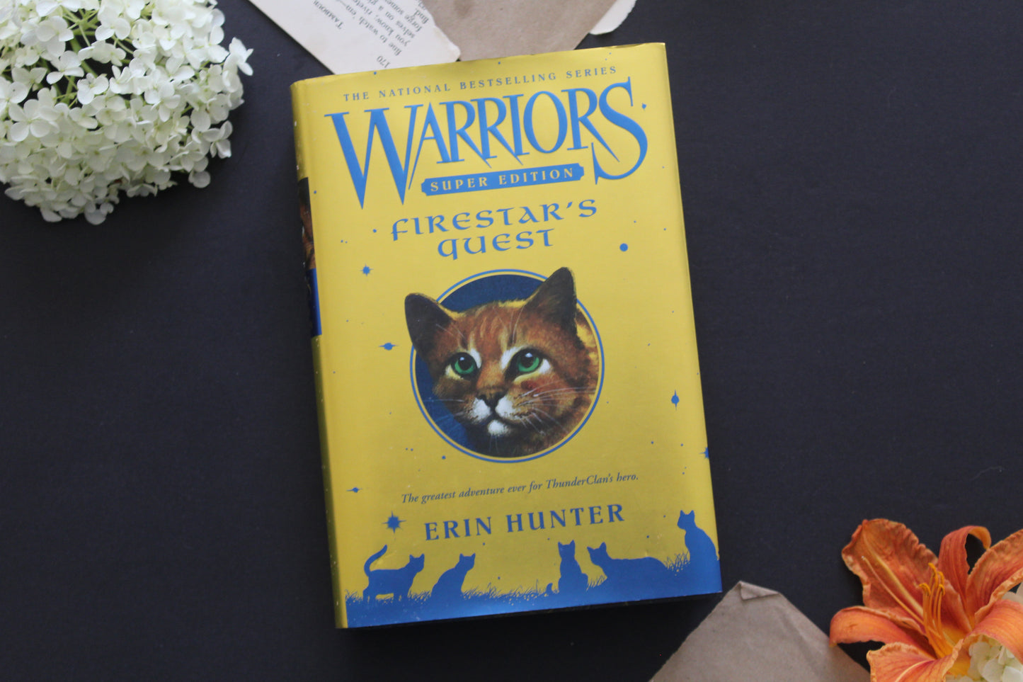 Warrions Super Edition - Firestar's Quest