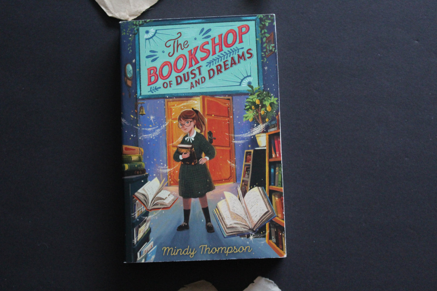 The Bookshop of Dust and Dreams