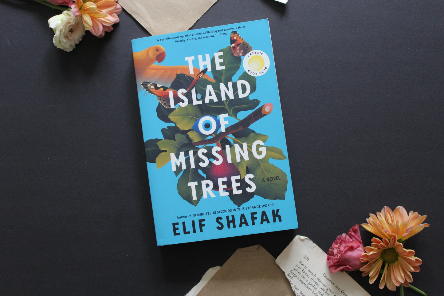 The Island of Missing Trees