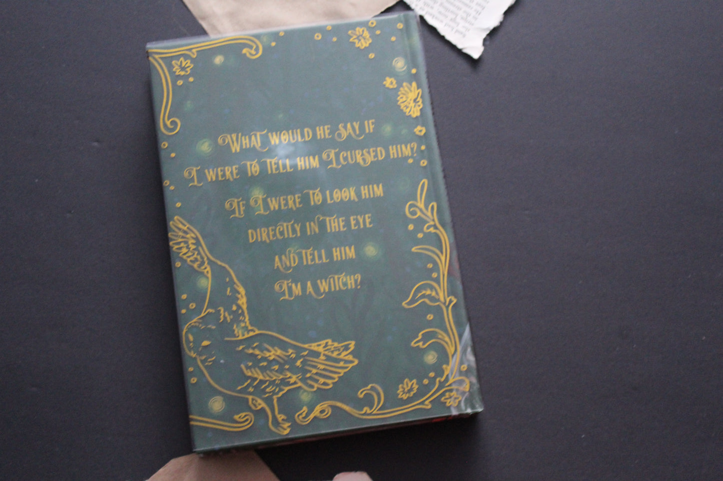 Wild is the Witch (The Bookish Box Edition)