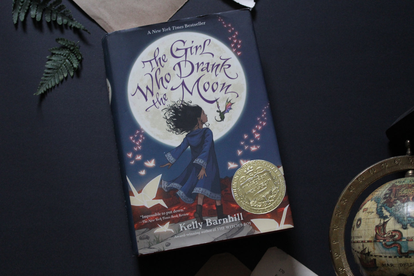 The Girl Who Drank the Moon