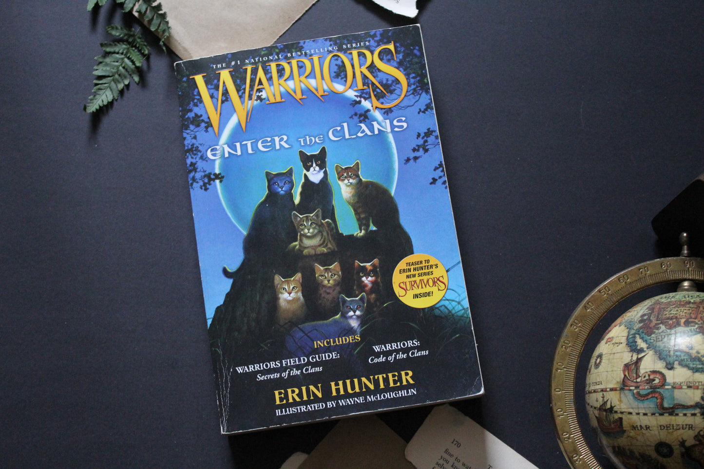 Warriors - Enter The Clans