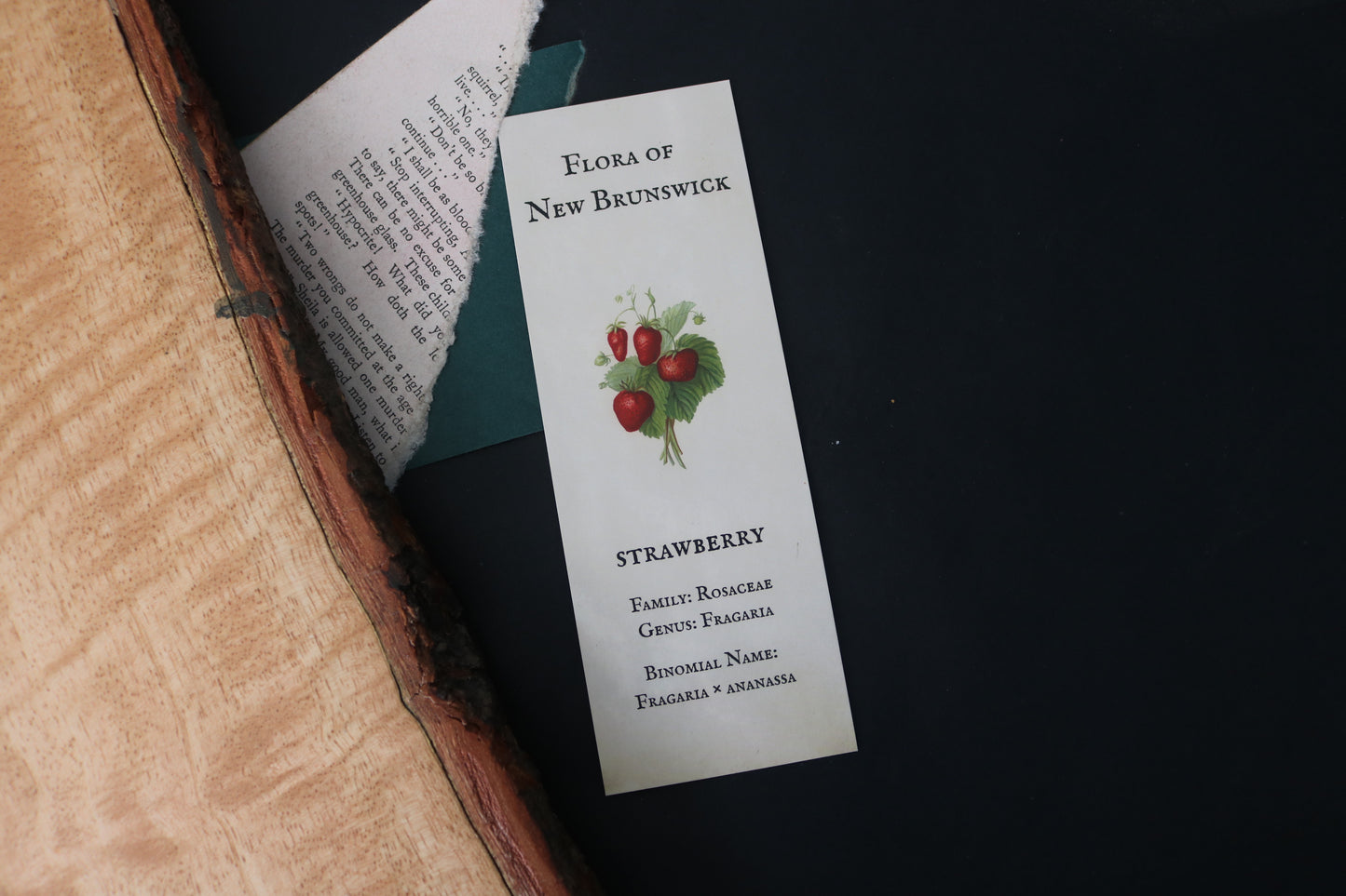 Flora of New Brunswick Bookmark