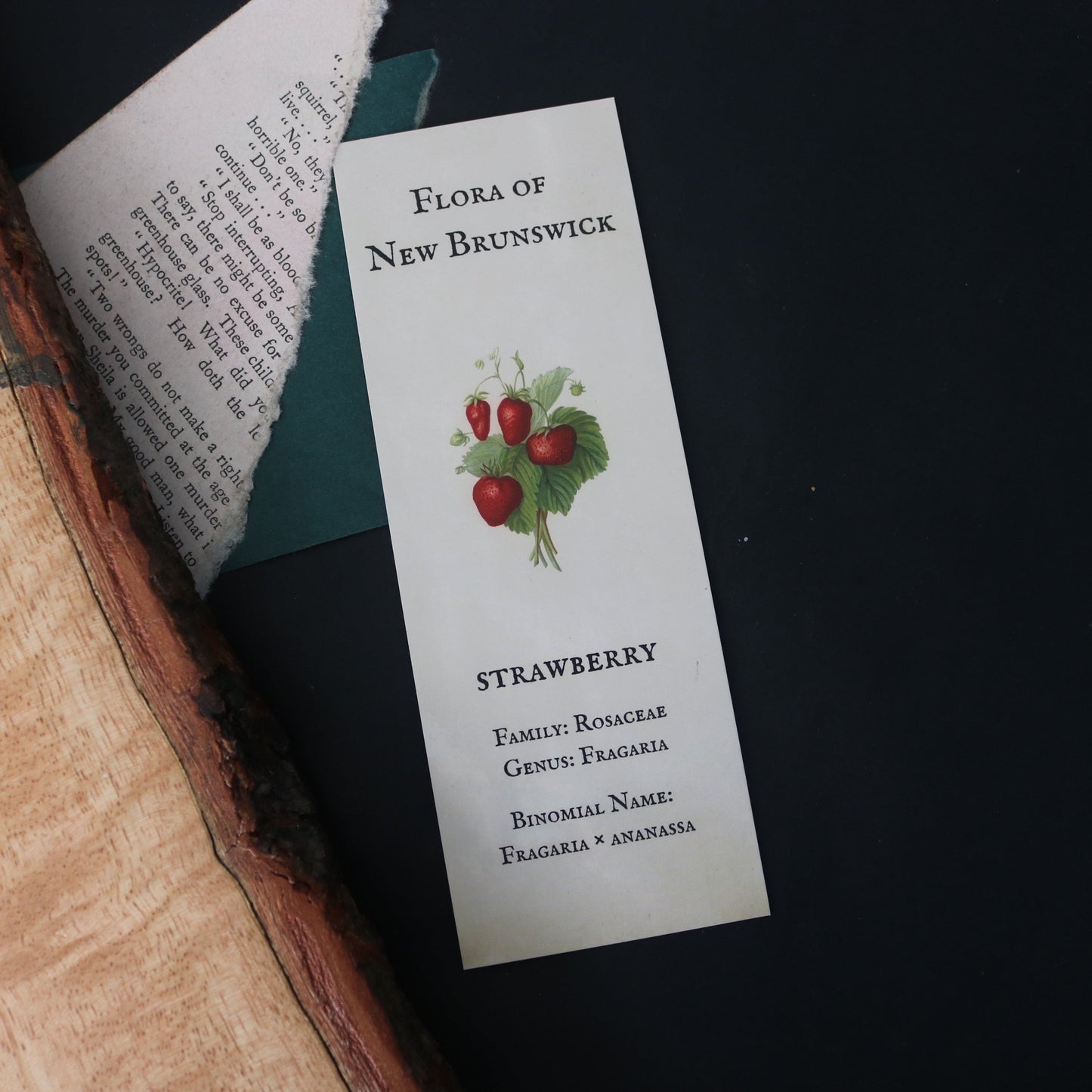 Flora of New Brunswick - Strawberry Bookmark