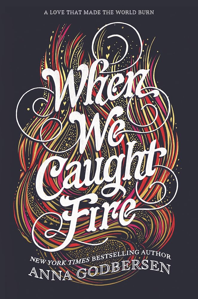 When We Caught Fire cover image
