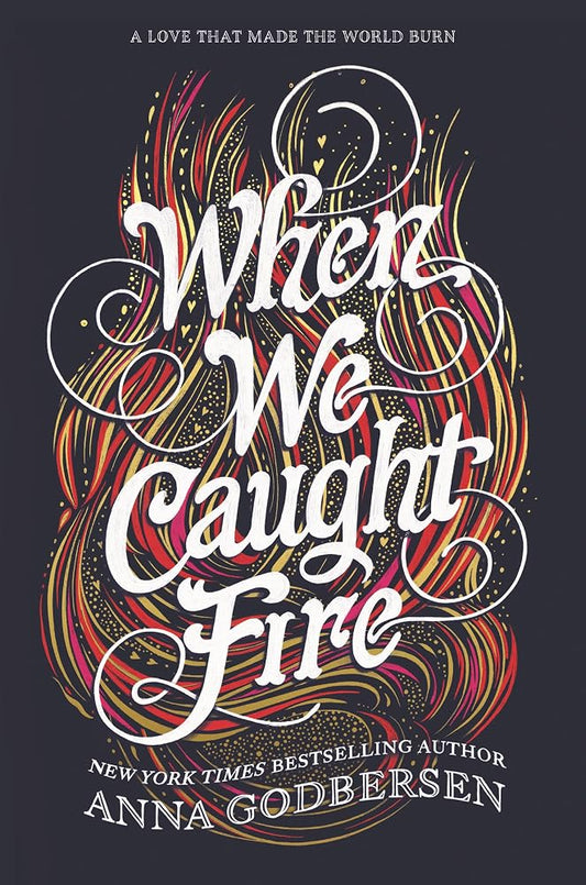 When We Caught Fire cover image