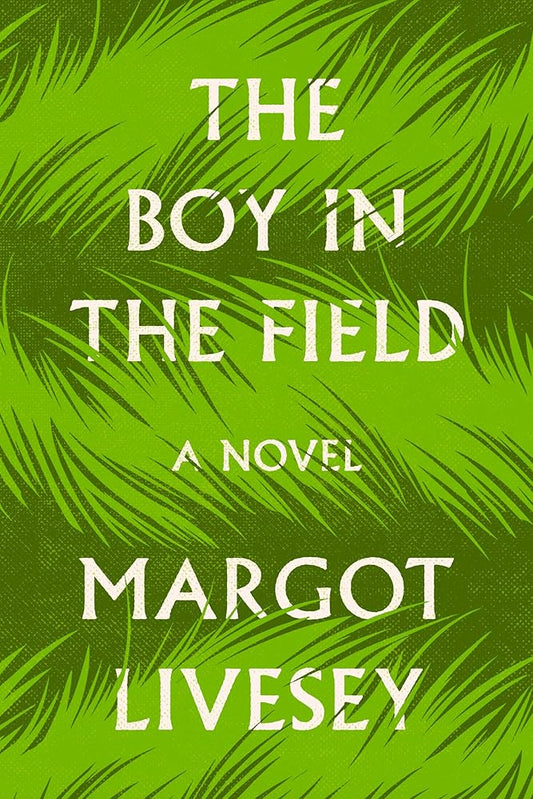 The Boy in the Field: A Novel cover image