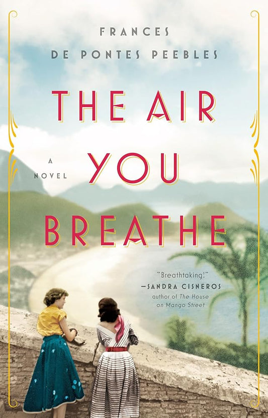 The Air You Breathe: A Novel cover image