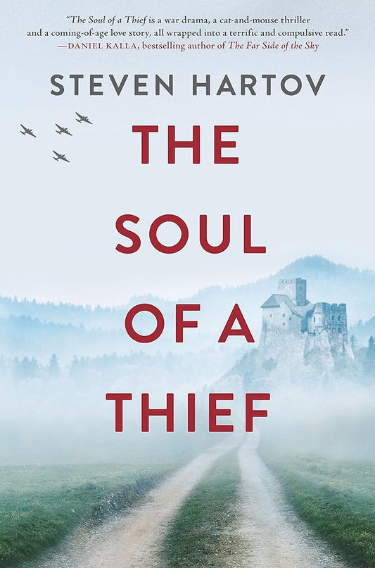 The Soul of a Thief: A Novel cover image