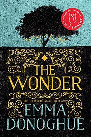 The Wonder: A Novel cover image