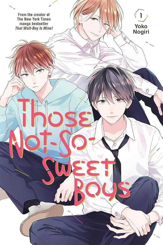 Those Not-So-Sweet Boys 1 cover image