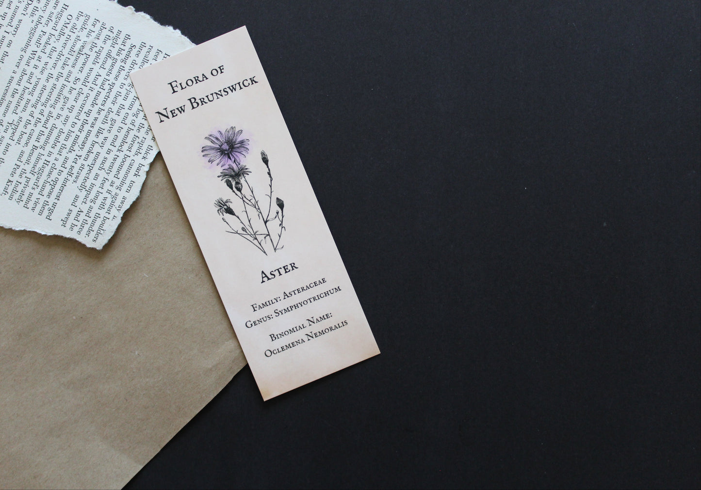 Flora of New Brunswick - Aster Bookmark