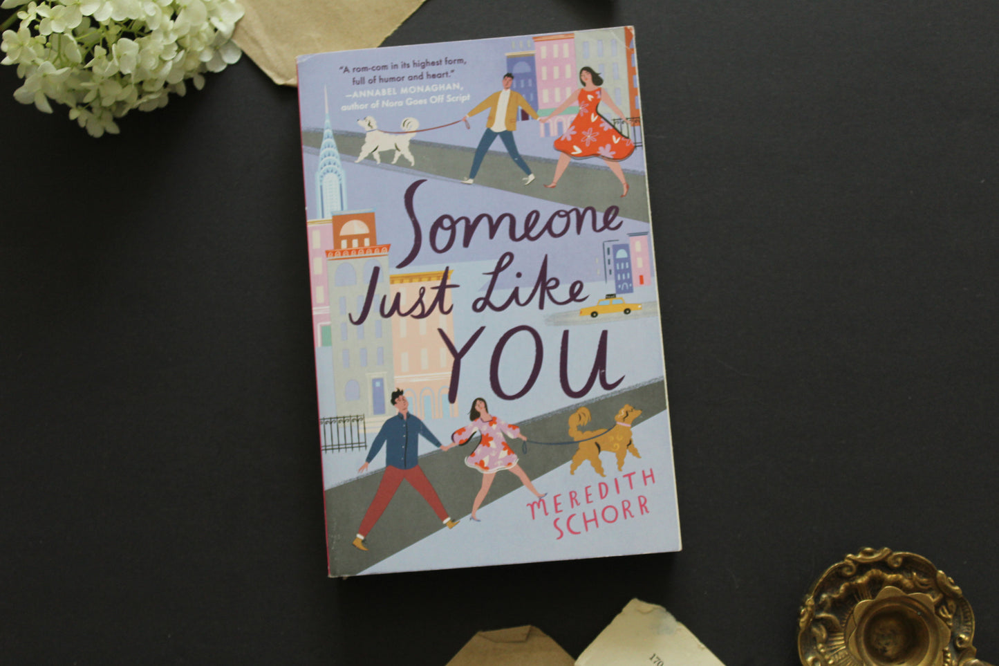 Someone Just Like You