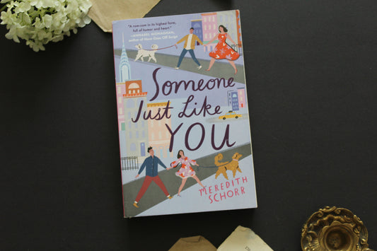 Someone Just Like You