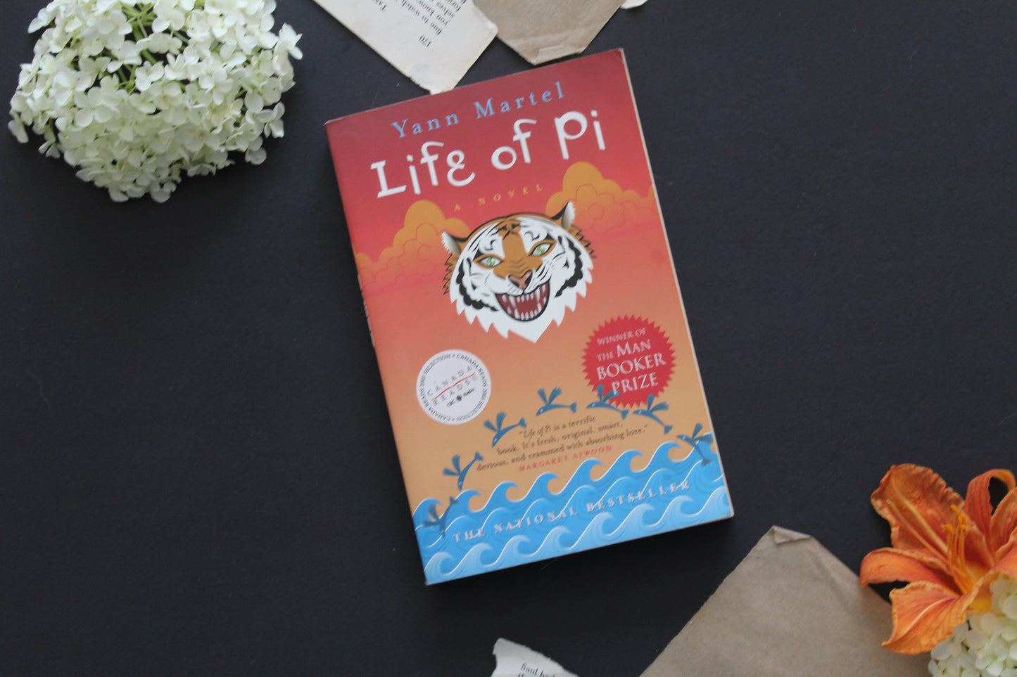 Life of Pi