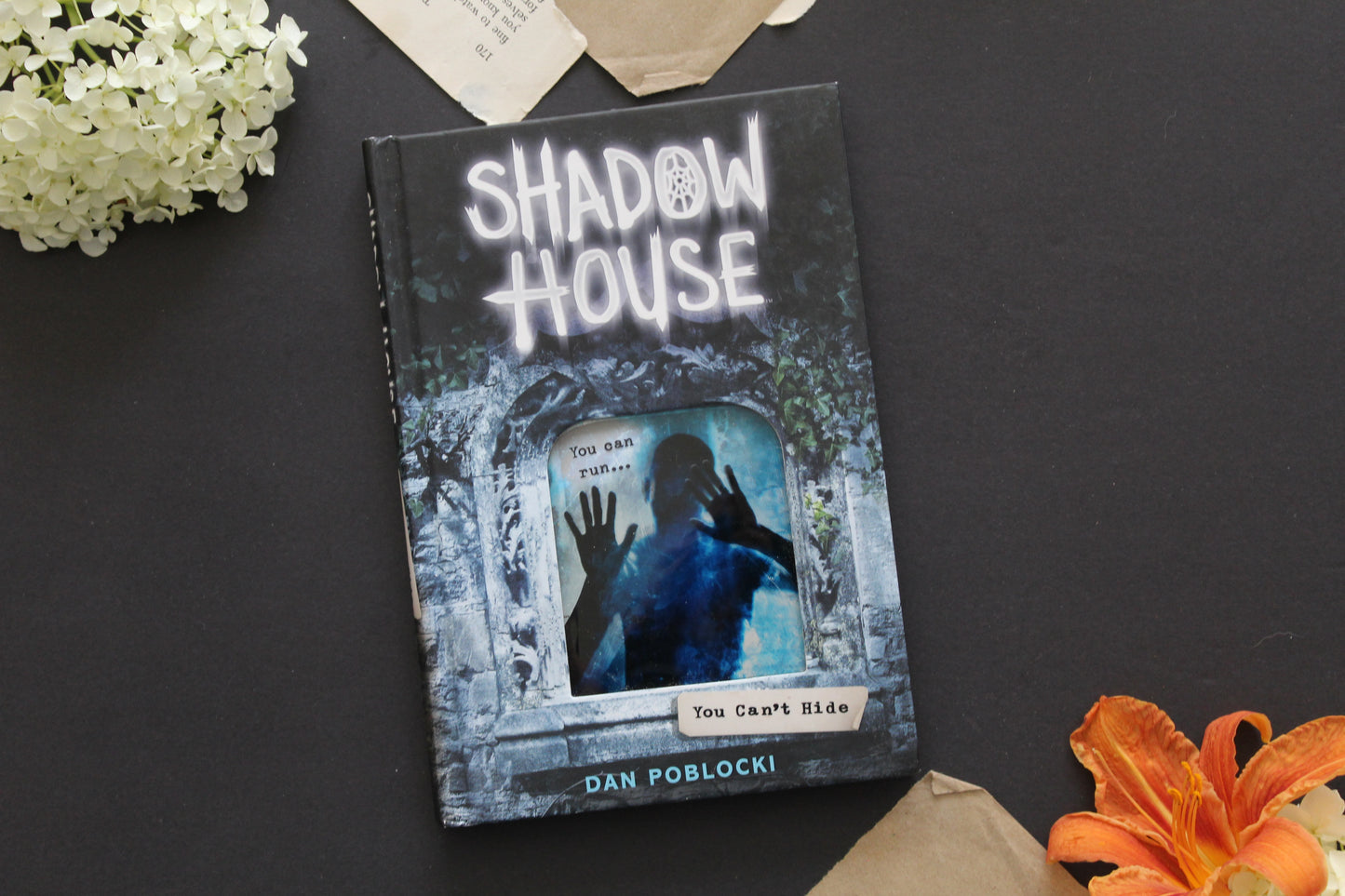 Shadow House - You Can't Hide (#2)