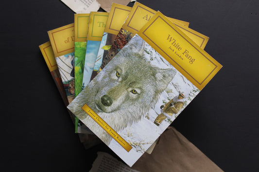 Junior Classics for Young Readers Bundle