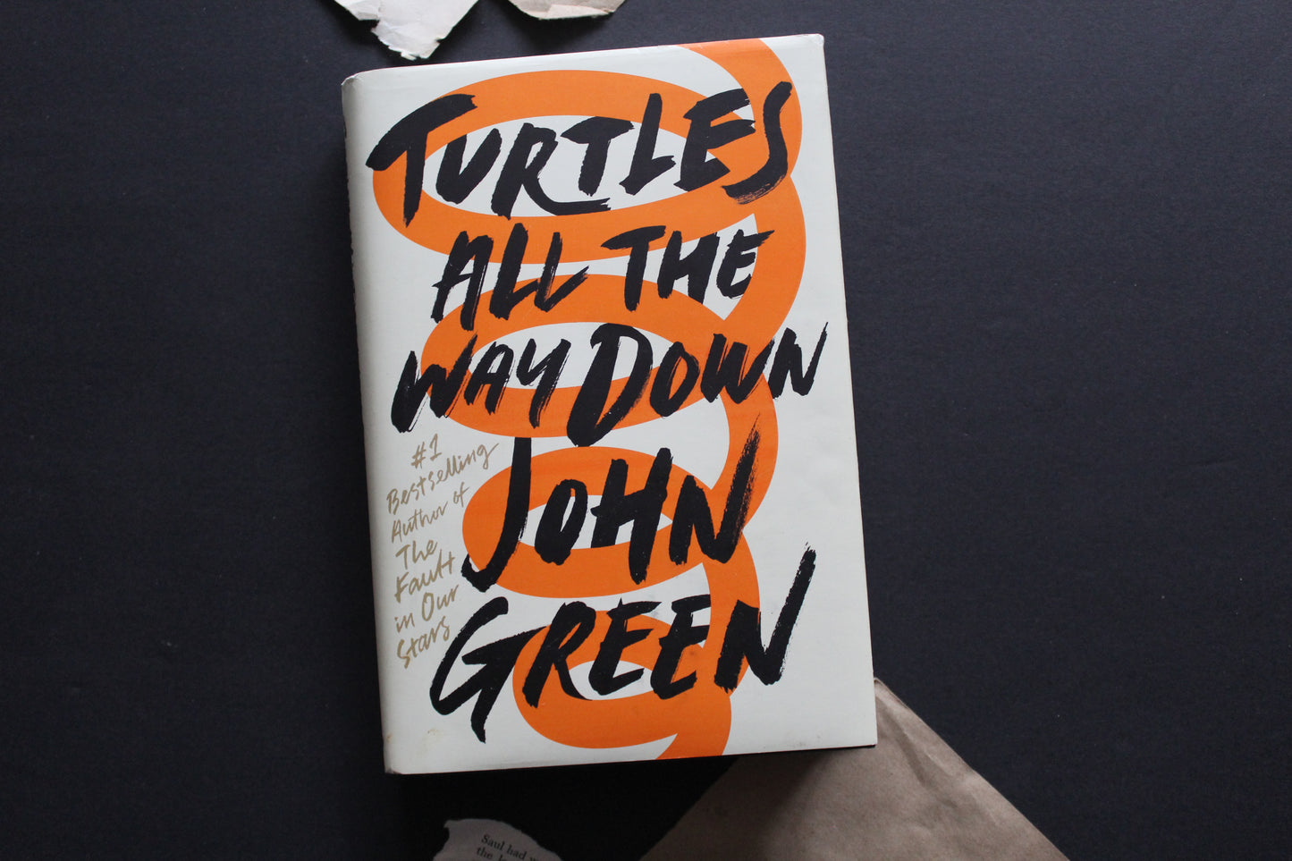 Turtles All The Way Down