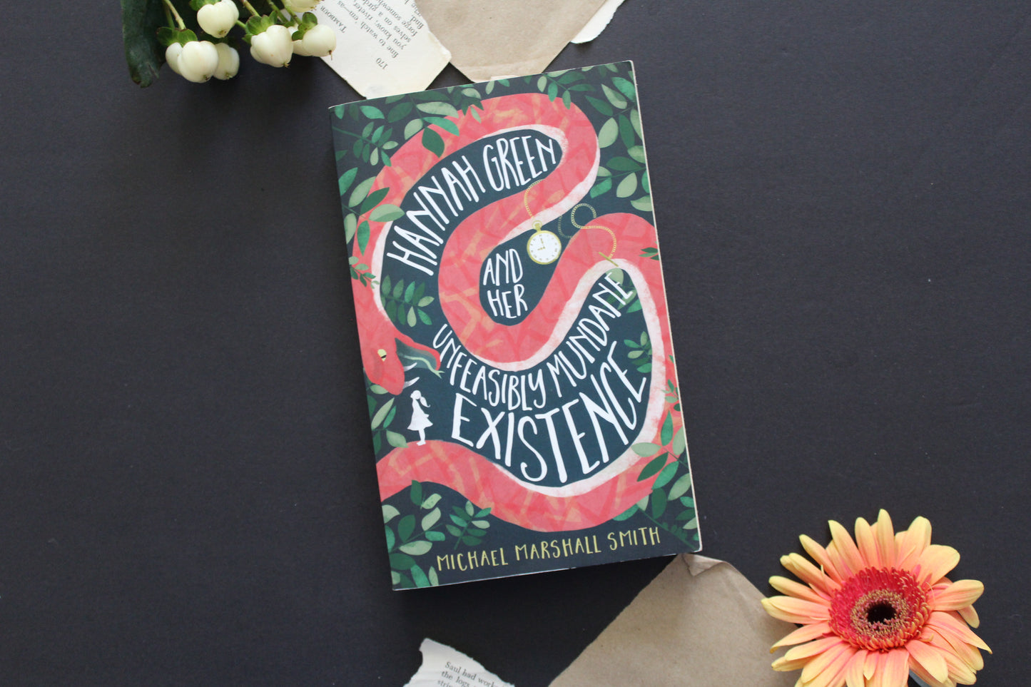 Hannah Green and Her Unfeasibly Mundane Existence