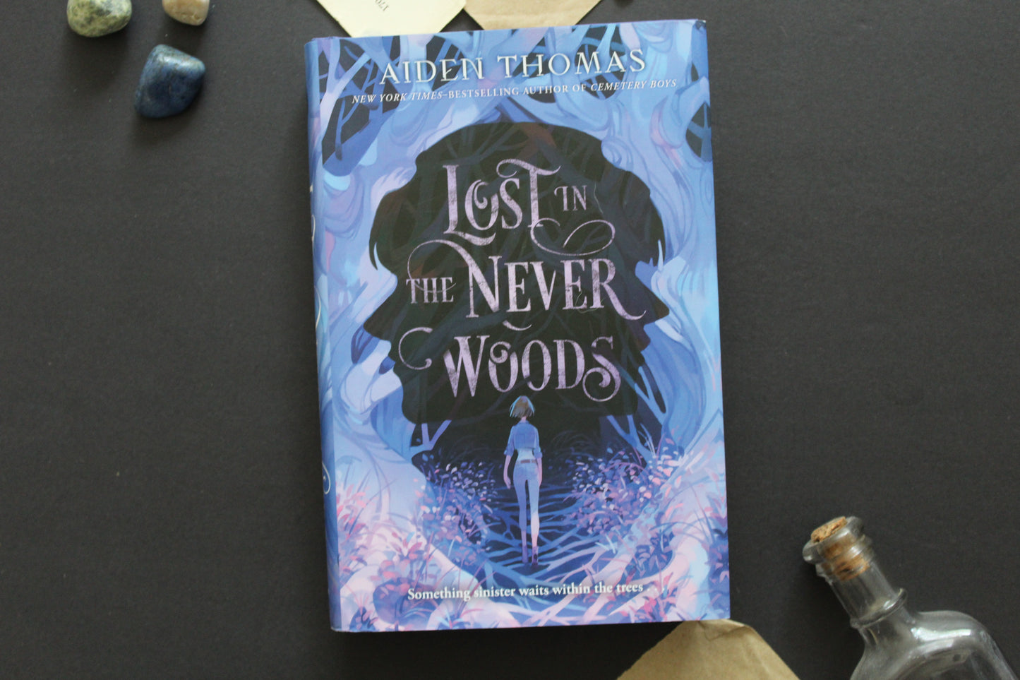 Lost in the Never Woods