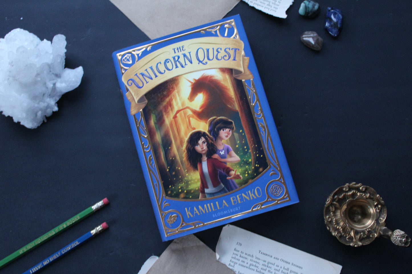 The Unicorn Quest