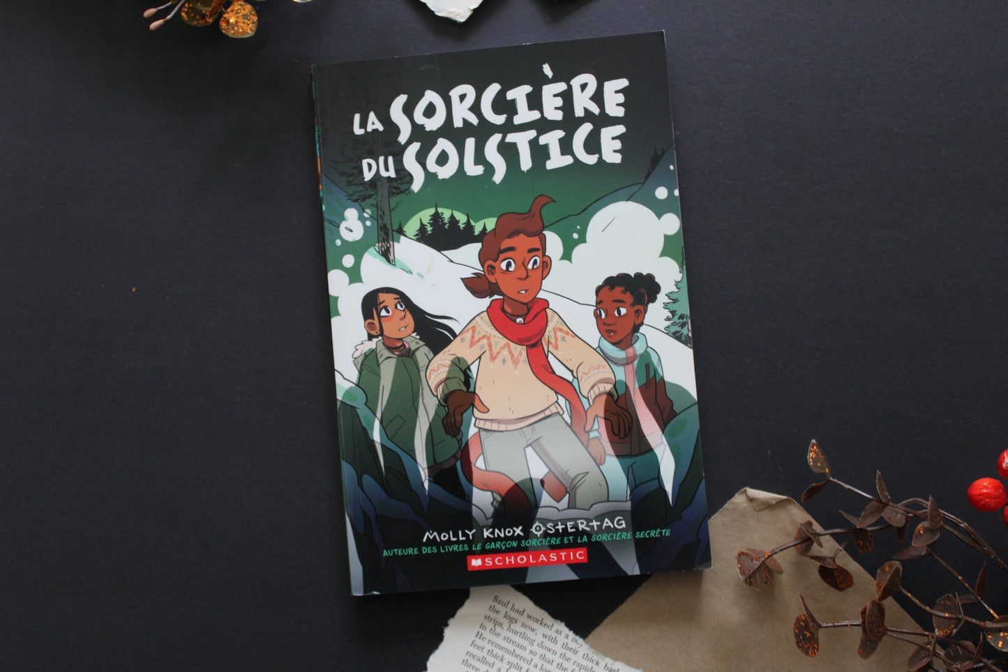 The Midwinter Witch (La Sorcière Du Solstice)