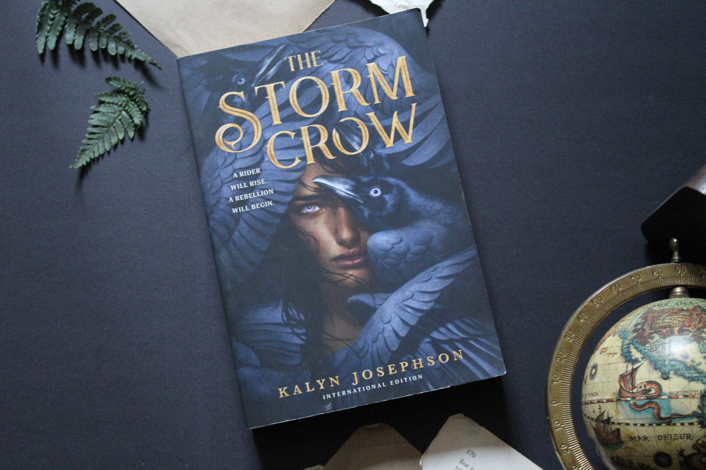 The Storm Crow