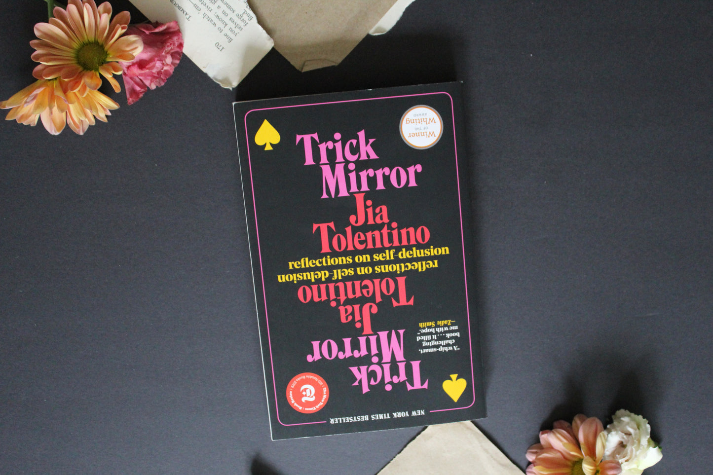 Trick Mirror
