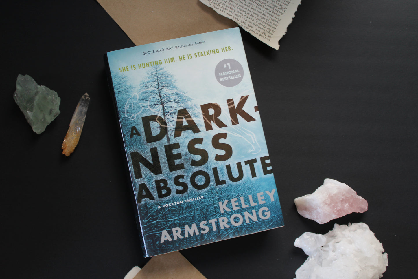 A Darkness Absolute (#2)