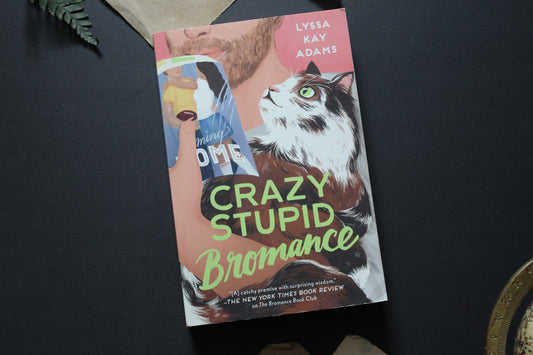 Crazy Stupid Bromance