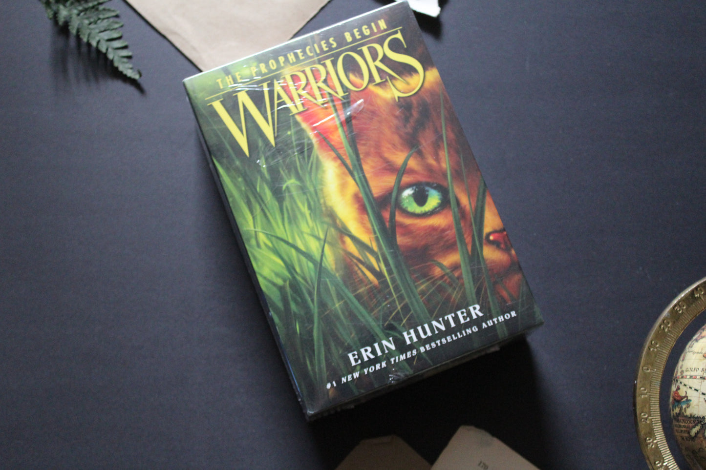 Warriors - The Prophecies Begin Box Set (1-3)