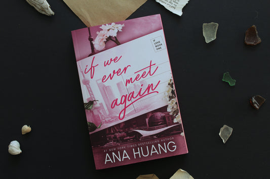 If We Ever Meet Again